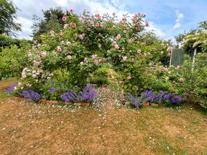 Photo 21- click for photo gallery